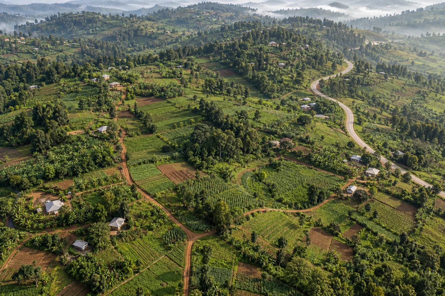 Illustrative aerial landscape with a highlighted parcel